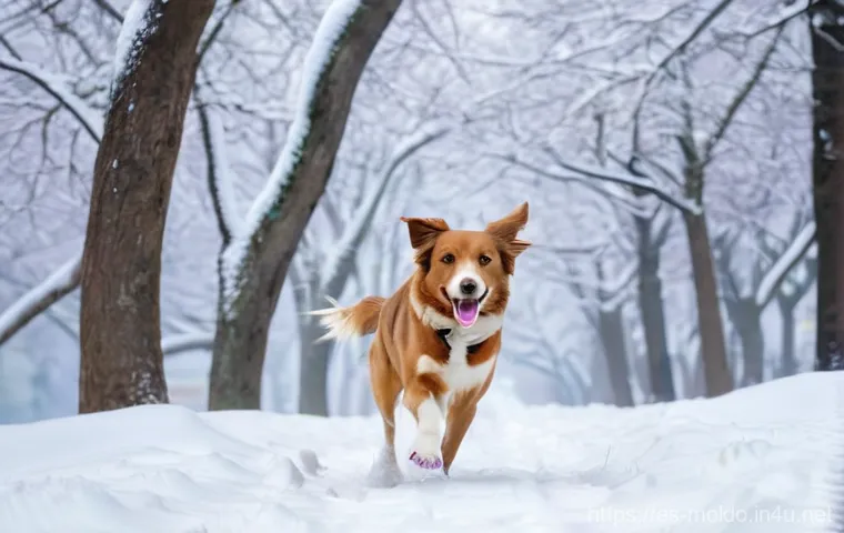 몰도바에서 개 키우기 - **Prompt**: A modern and welcoming veterinary clinic in Chisinau. A kind female veterinarian, in her...